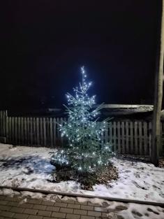 Rozsvícení stromečku 